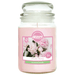 Airpure large glass jar candle 510g blush peony fragrance