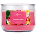 Mainstays Plumeria Palm 3 Wick Glass Jar Candle, 326g