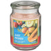 Modern Expressions Just Picked 18oz scented candle