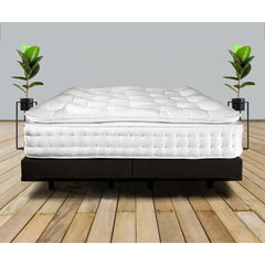 Pillow Top 2000 Pocket Sprung Mattress